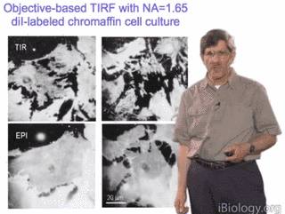 Video diễn thuyết bởi Daniel Axelrod: Kính hiển vi tổng phản xạ huỳnh quang nội (TIRF)