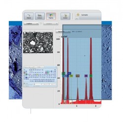 Scanning Electron Microscopy (SEM) with Energy Dispersive X-Ray Analysis (EDX)